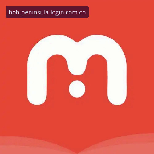 bob体育平台官方网址安全验证完整指南：从下载到登录的全流程解析